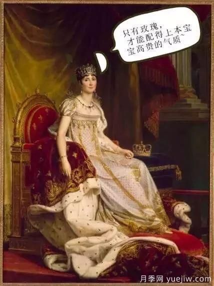 談?wù)勚袊录镜陌l(fā)展史，致敬中國的月季育種家前輩們！(圖5)