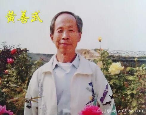 談?wù)勚袊录镜陌l(fā)展史，致敬中國的月季育種家前輩們！(圖16)