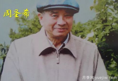 談?wù)勚袊录镜陌l(fā)展史，致敬中國的月季育種家前輩們！(圖25)