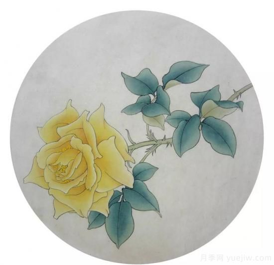 談?wù)勚袊录镜陌l(fā)展史，致敬中國的月季育種家前輩們！(圖67)