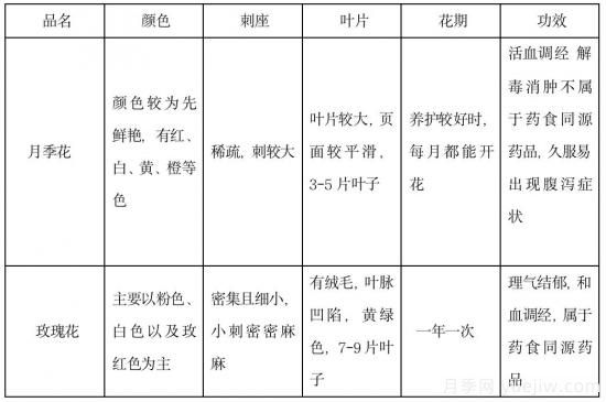 月季和玫瑰如何區分？圖解科普很詳細(圖14)